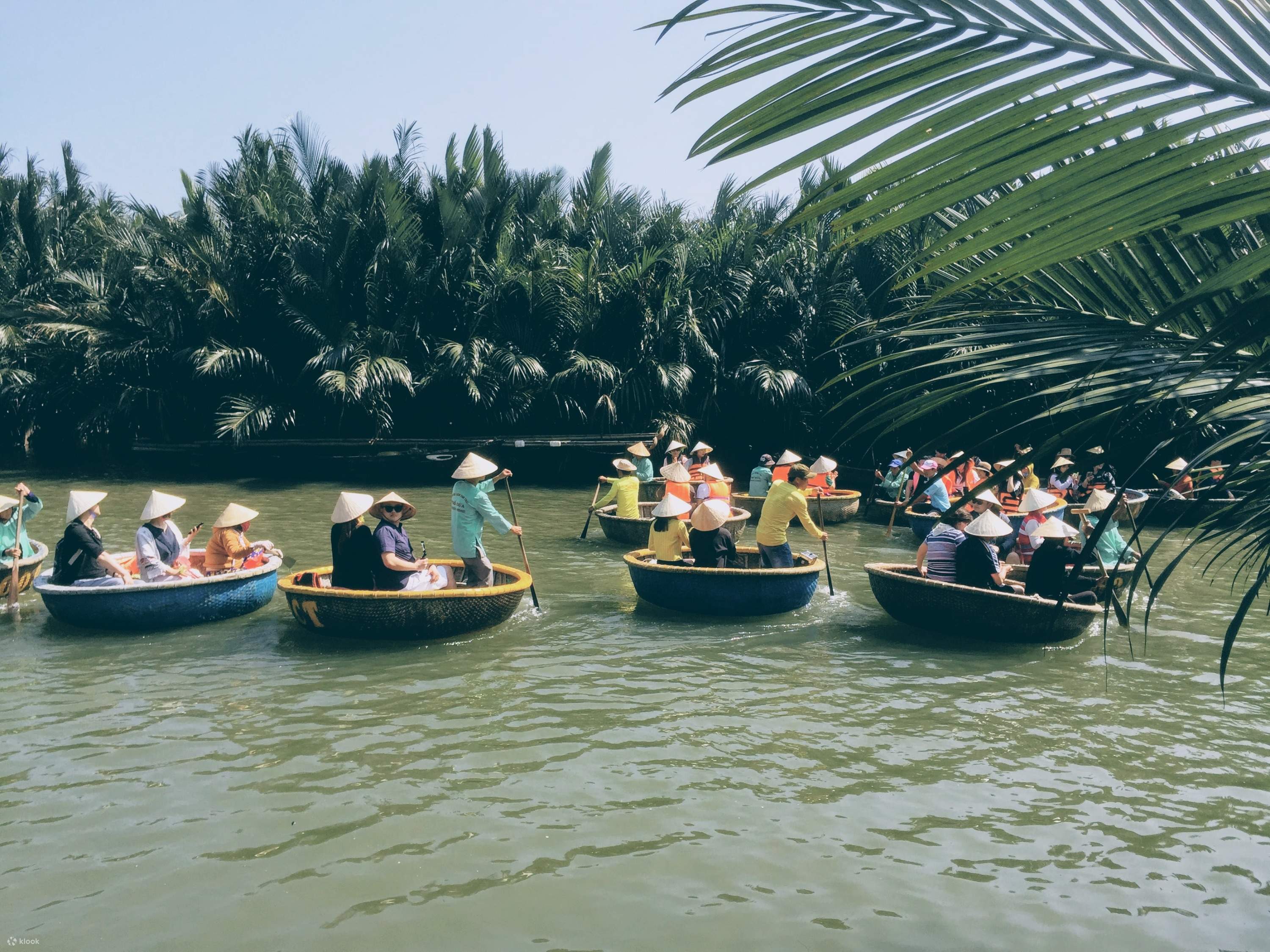 People riding in traditional Vietnamese basket boats through the coconut forest in Hoi An, a fun and unique thing to do.